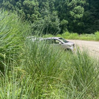 駐車場に戻って終了
このあと、車に乗って神鍋山に向かいましたとさ