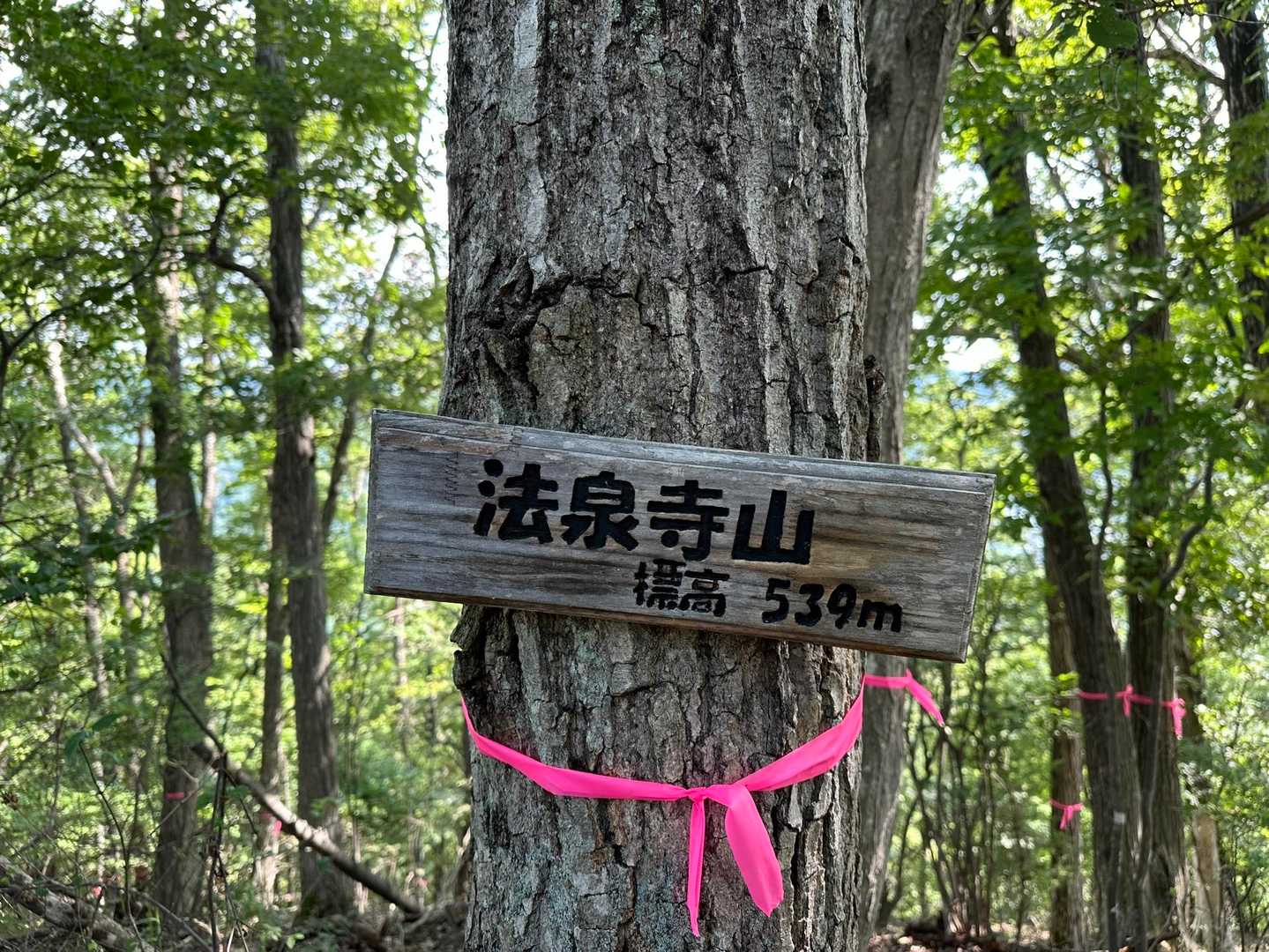 八王子山往復 | 街から歩ける白い巨岩の特等席、甲府盆地と富士山を見下ろす開放感の写真