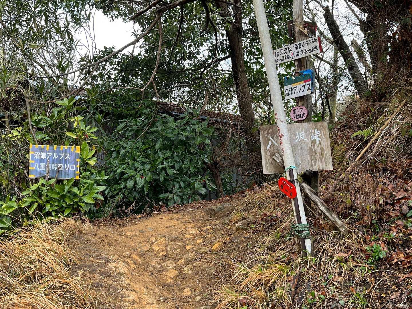 八重坂峠登山口から横山目指します⛰
急登だし湿っているので滑りやすい🥲