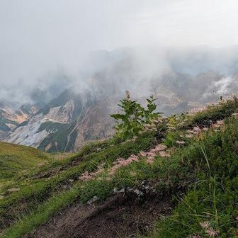 チングルマの綿毛と赤岳？硫黄岳？