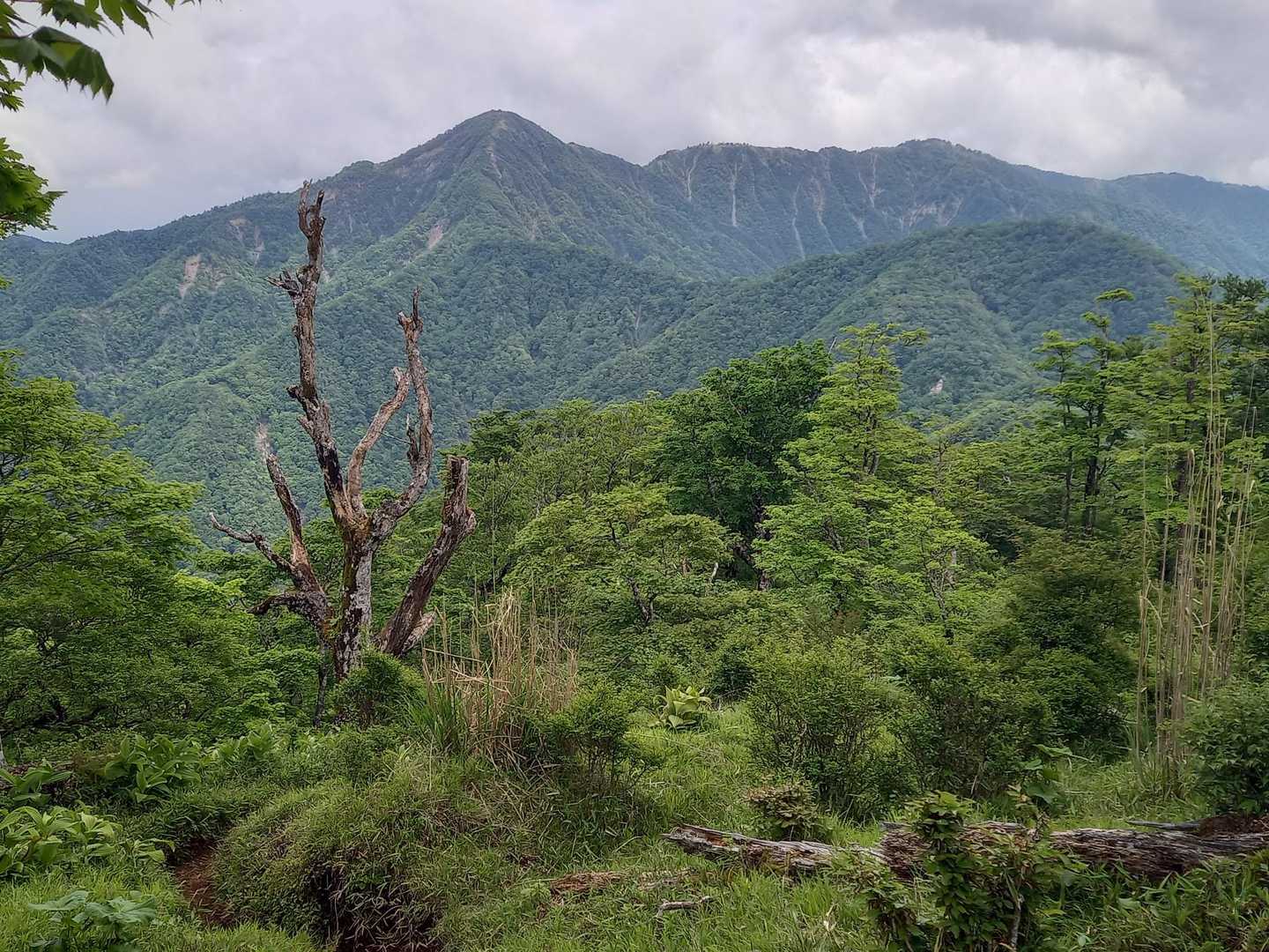 尖った左の山が蛭ヶ岳。