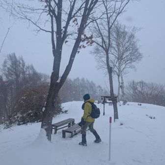 なんだか吹雪いて来てます