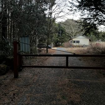 門の右に神社が⛩️あります。