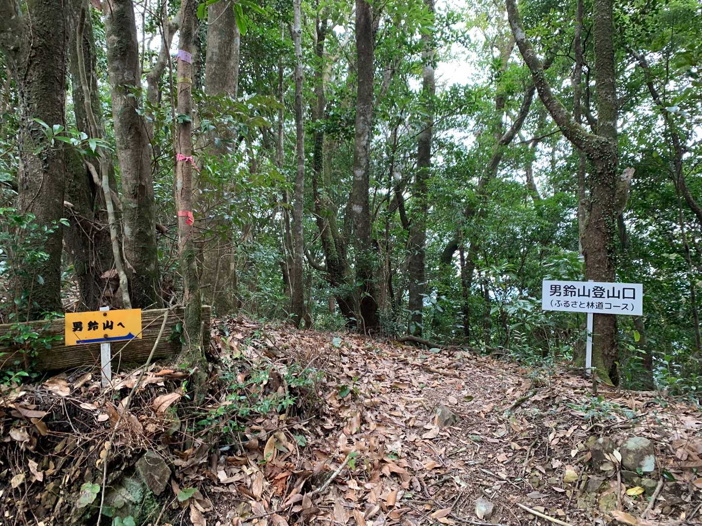 林道を降り、またまた再入山です！