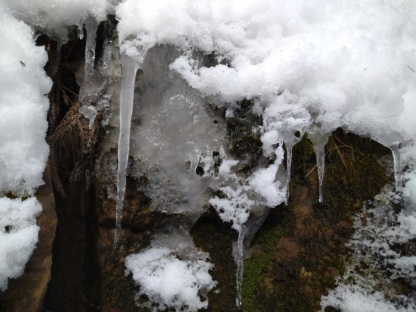 小羅漢山-羅漢山 往復コースの写真