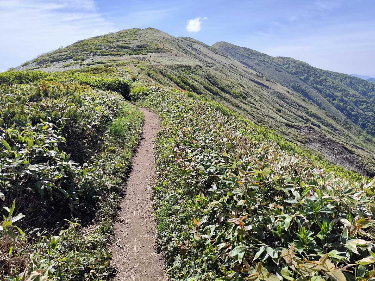 素敵な尾根歩きの登山道😆
