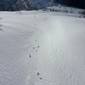 歩くとね、斜面に玉が転がるの
それが可愛くて🩷