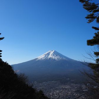 御殿から富士山