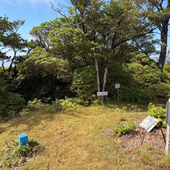 小ぢんまりした山頂