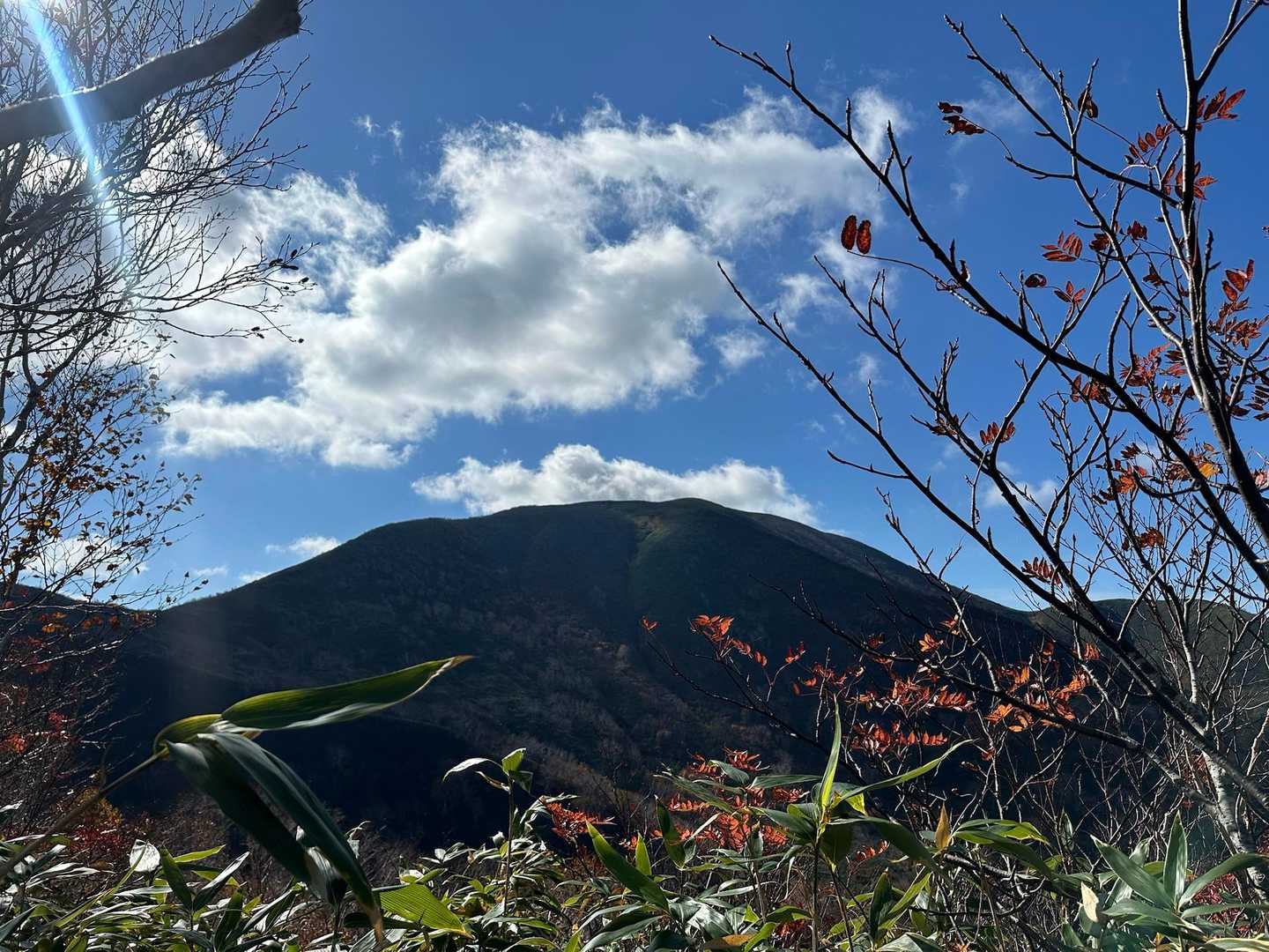 見えてきた⛰️
