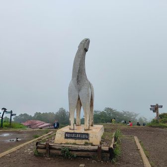 半袖短パンで陣馬山に着いた時は寒くて手がかじかみ、吐く息が白かったです