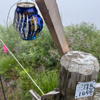 ビールの缶で作った風車？金麦が青と金で一番綺麗らしい
