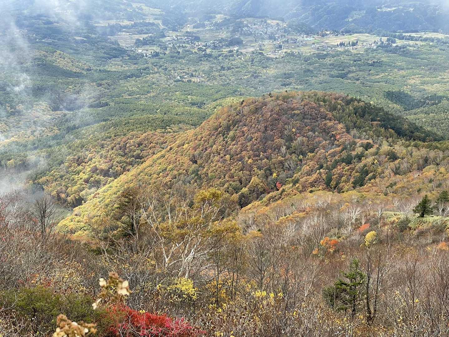 飯縄山 往復コースの写真