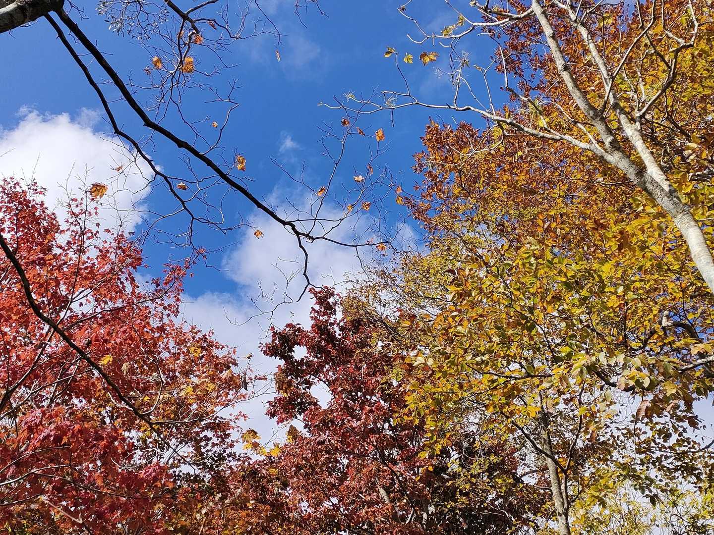 そして‥　素晴らしい🍁😆🎶