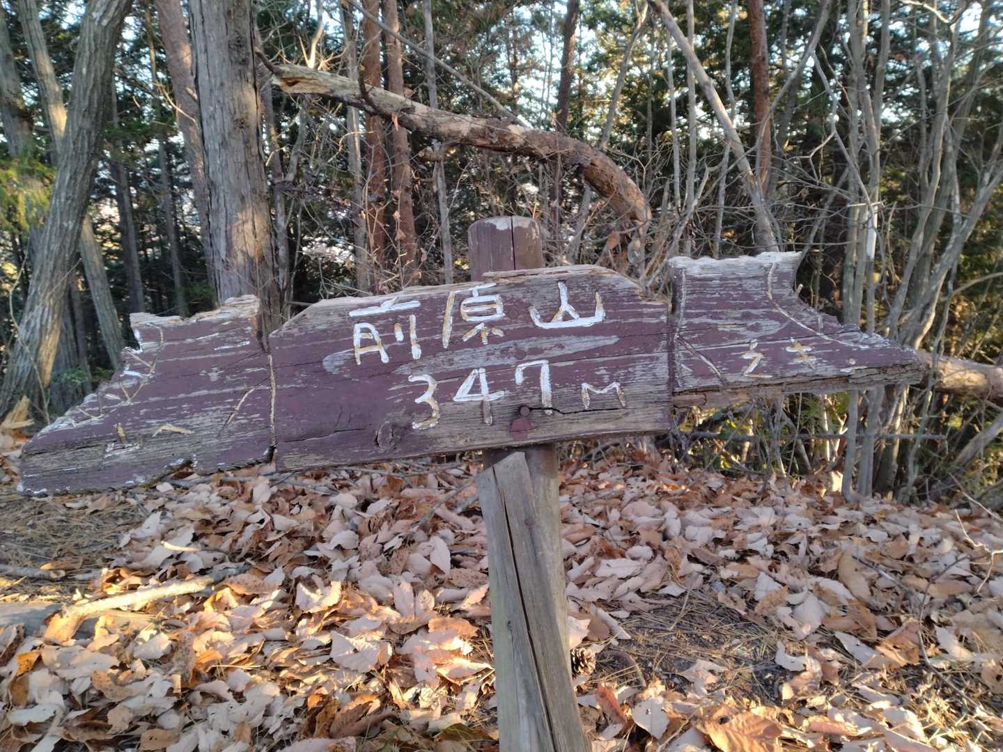 前原山-破風山-ユズ園 周回コースの写真