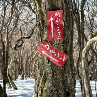 隊長が整備してくれた道標
クルソンへ

狗留孫(くるそん)とは梵語の音訳で「実に妙なる成就」山岳信仰かな