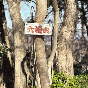 名前の由来が知りたいな