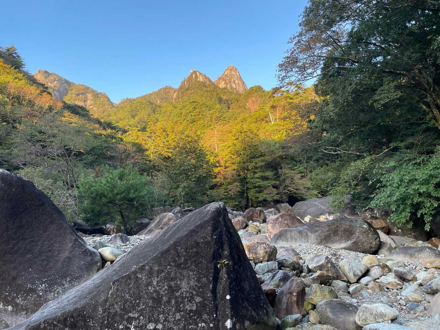 紅葉🍁と青空がいいね👍