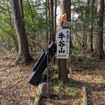 牛谷山で山三線