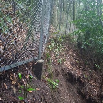 クッパ城を目指すマリオの気持ちで⋯フェンスを伝います（たろさんは中指と薬指だけで体を支えましたよ🤣）