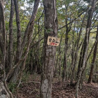 こっちがピークなんだが、山標が違う??