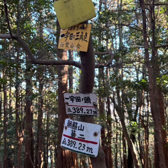 いっぱいありすぎ🤣どこのピークなん？😅