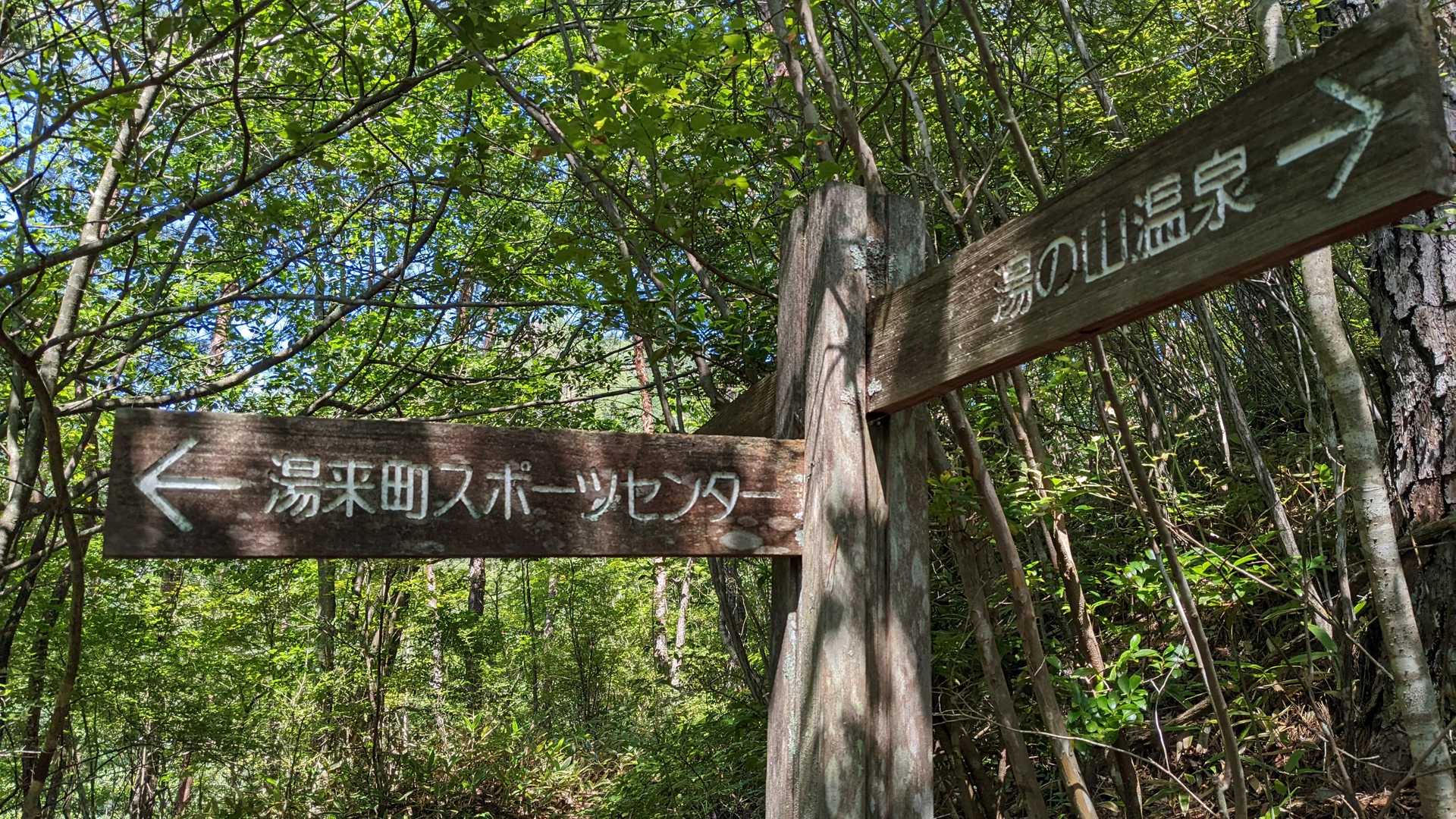 スポーツセンター方面への登山道は、途中から行き止まりに見えるぐらいの道になってるみたいです