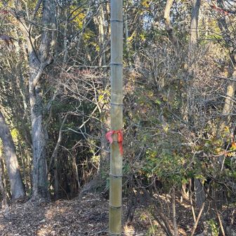 山頂は標識見当たらなかった