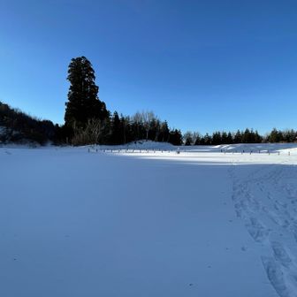 影が伸びてなんか綺麗

Jazzをクマ対策で鳴らし始めた、、さすがにもう大丈夫と思うが癖になった。歩いてて気持ち良いのだ、、
人がいるところでは絞るようにしてるが、たまに忘れる、、申し訳ない

今日はキースジャレットトリオのブルーノートライブをチョイス、、あれれ、、久しぶりだと思ったらこれ買ったの四半世紀前じゃん