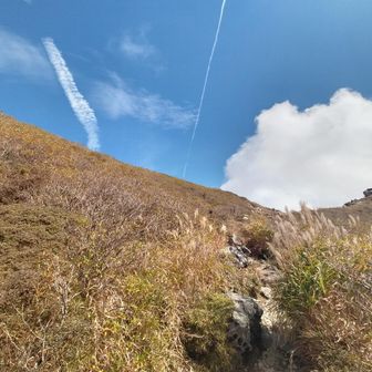 ゆっくりと御池へ向かい