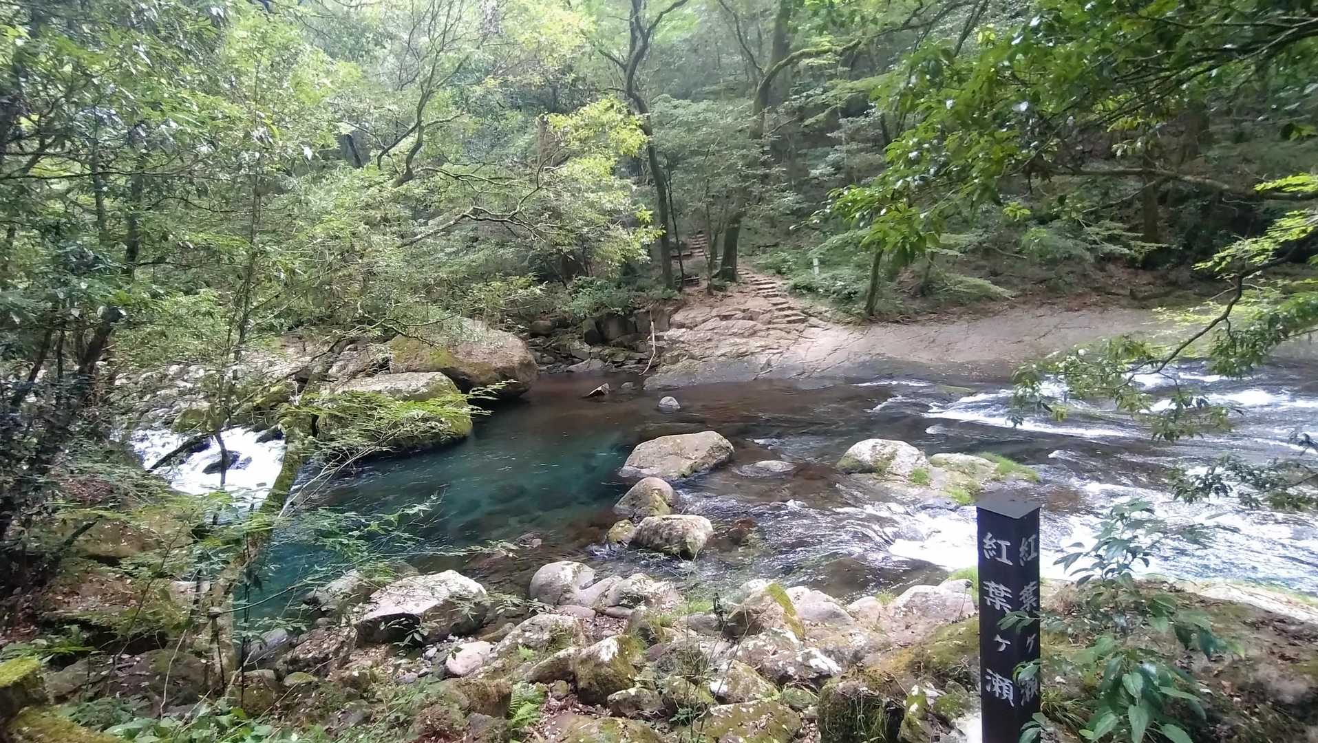 紅葉も良さそう🍁