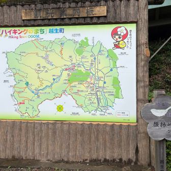 峠に到着した。ここから東吾野駅を目指して下った