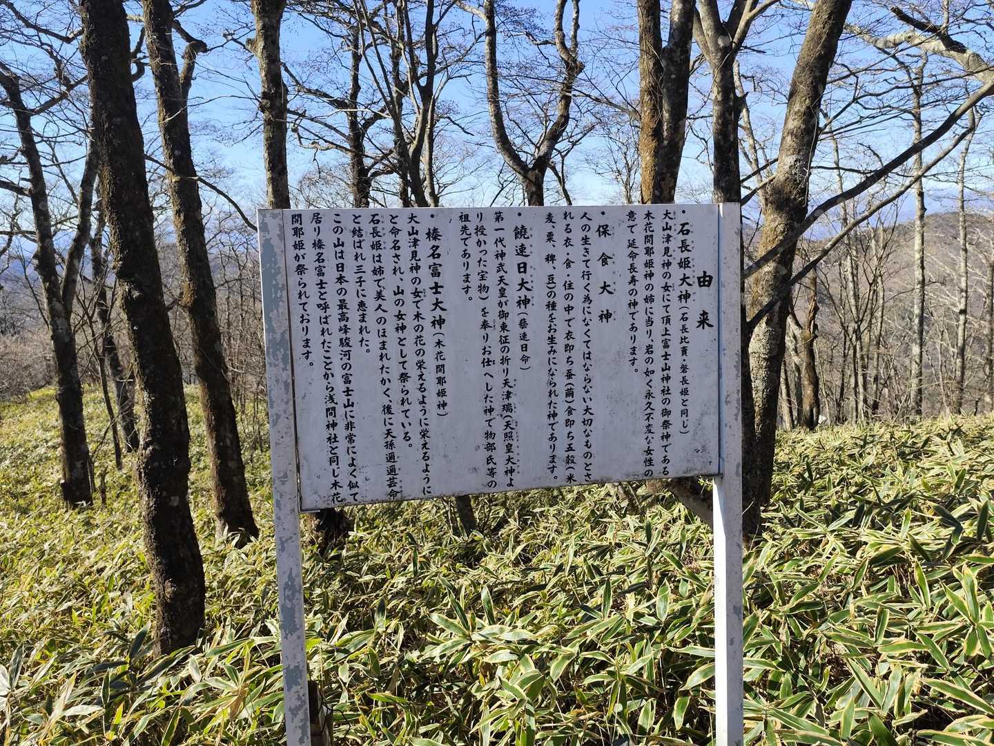 初めて存在を知りました。