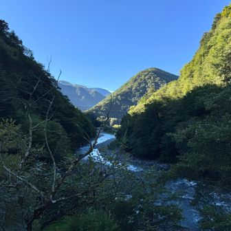 道路を歩いてロッヂまで。
大自然感が最高です