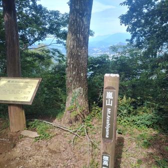 嵐山山頂。

登山口から40分ほどで着くから、入門的な意味でも登りやすい山だ。