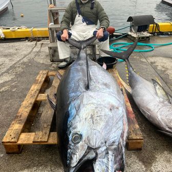 登山するマグロ釣師