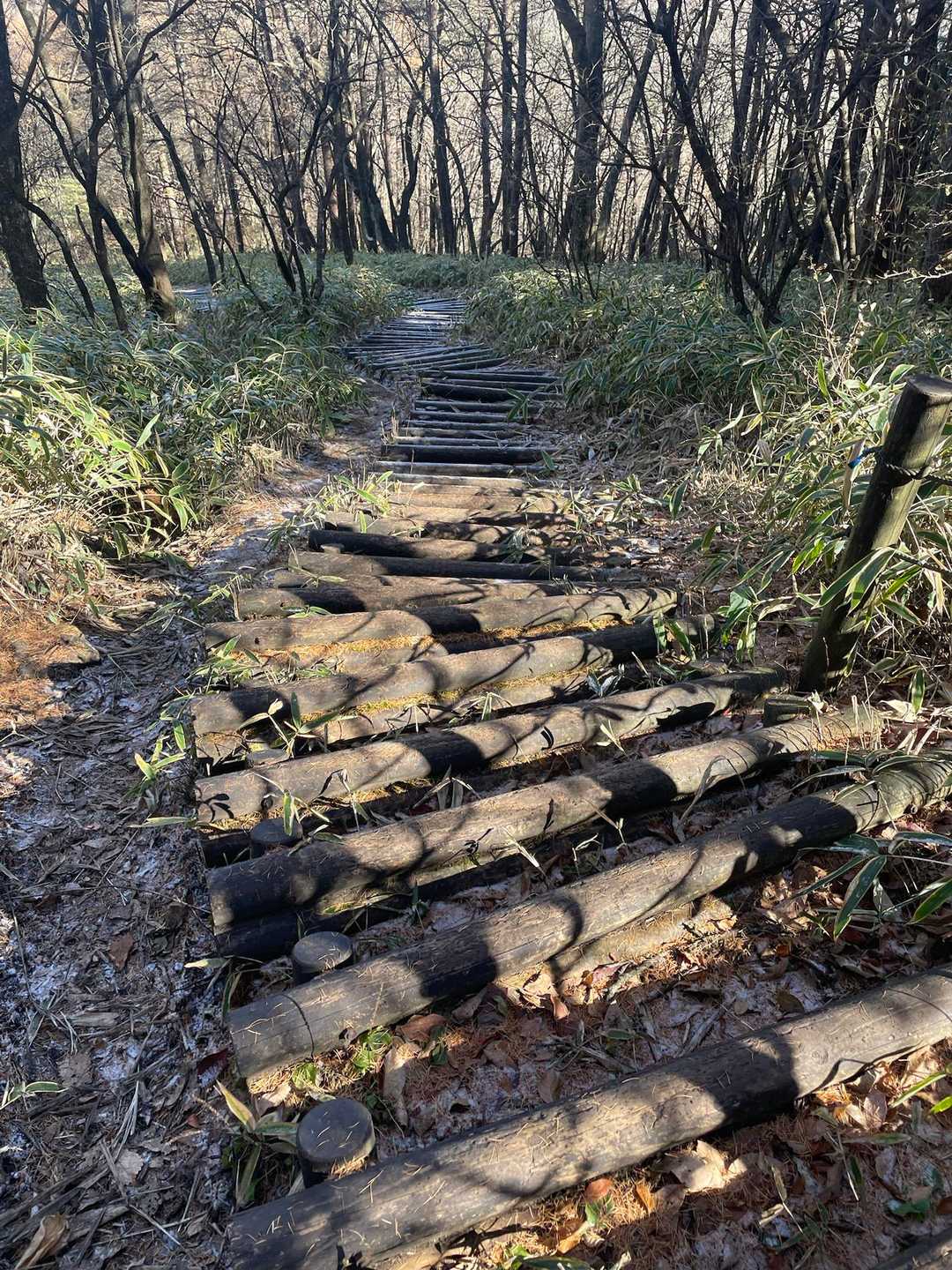 途中から階段が続く
