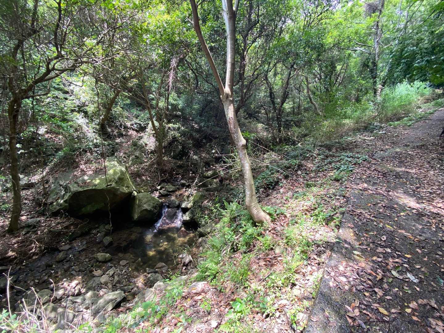 山頂までずっと塗装された遊歩道🙌
とっても歩きやすいです(^-^)v