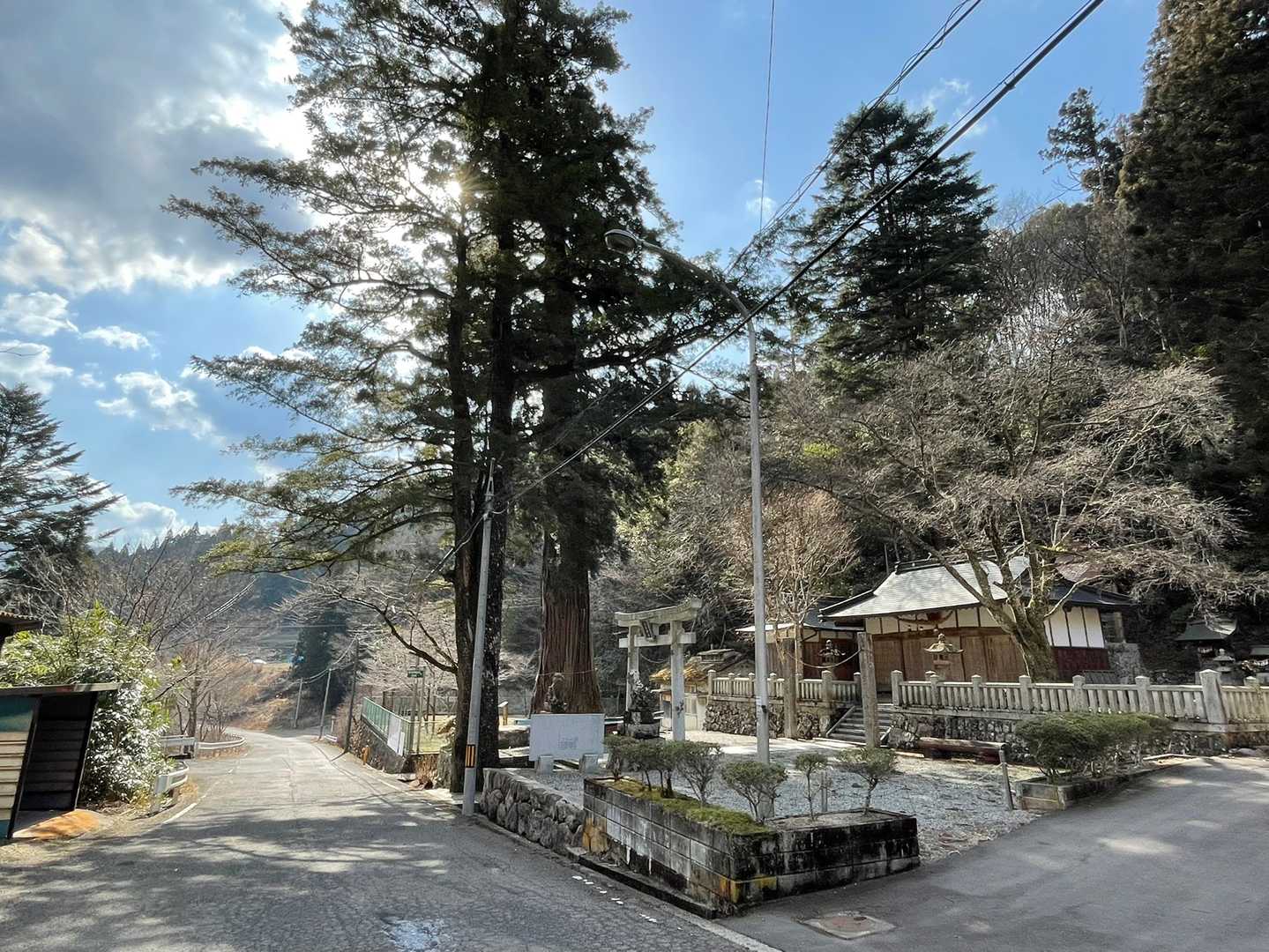 杉王神社⛩
中央奥の大杉は樹齢800年😊
大杉の根元の空洞には、子供25人が入れたそうな…😅