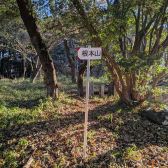 根本山の山頂標をアップ。