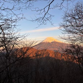 位牌岳から望む富士山