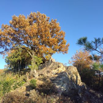秋空と岩場と紅葉🍂
絵になります🤔