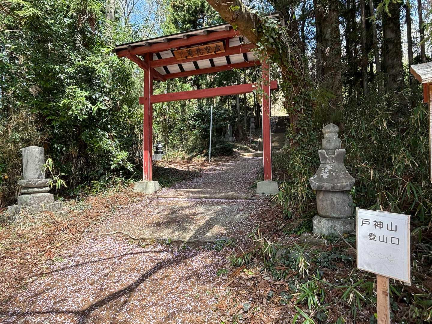 目的 ②
近場でお散歩
