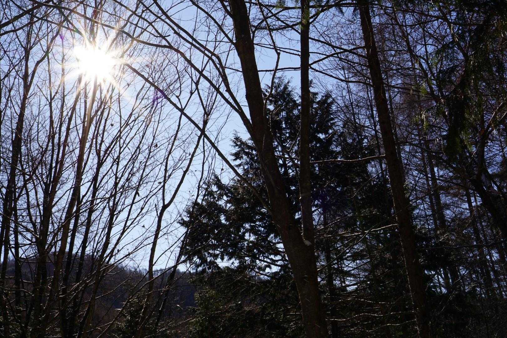 うんうん、太陽☀️出てるよ