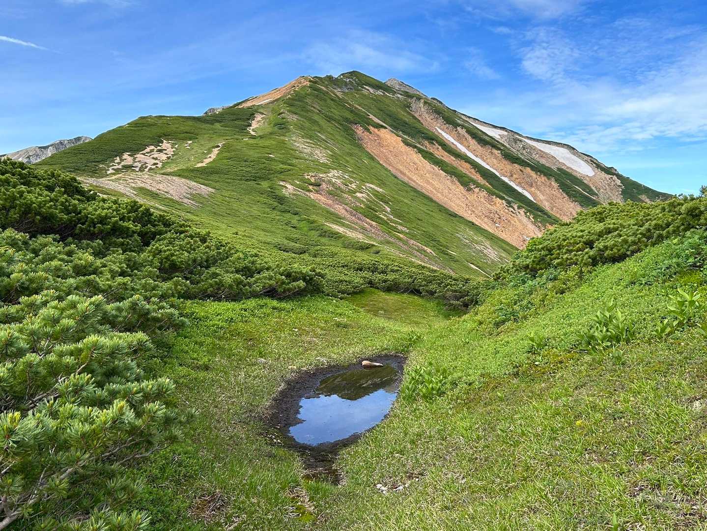 間山-北薬師岳-薬師岳-薬師峠 縦走コースの写真