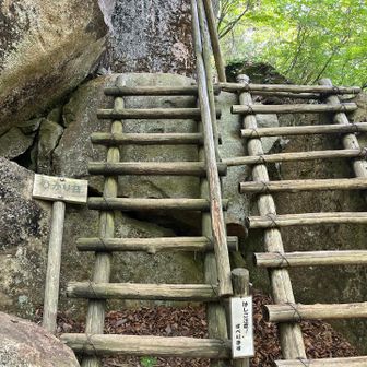 ひかり苔の場所、なかなか見つけられなくて💦　もう少し案内板があったらいいのに…ナンテ😅    それとも見つけた人にだけのご褒美なのかな💓