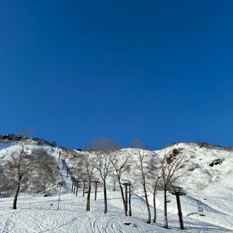 雲ひとつない💙と🤍と🪾の世界に感激🤩