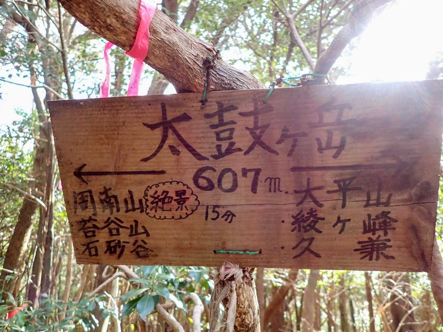 太鼓ヶ岳。
この標識が今回の周回ルートのヒントでした。

12月にここに来た時に、標識に書いてある「石砂谷」を見て、城山からの下山に使った林道に出るルートがあるんだなーと思ったのをこの日の朝になって思い出しました。
そこを使えば林道から城山経由で湯野に下山できるので、舗装路歩きが3kmくらいで済みます。
「絶景」と言うのも気になっていたので一石二鳥でした。