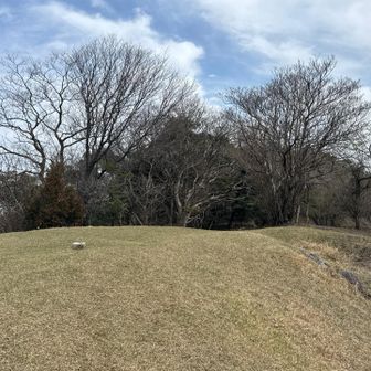 芝生が気持ちいい