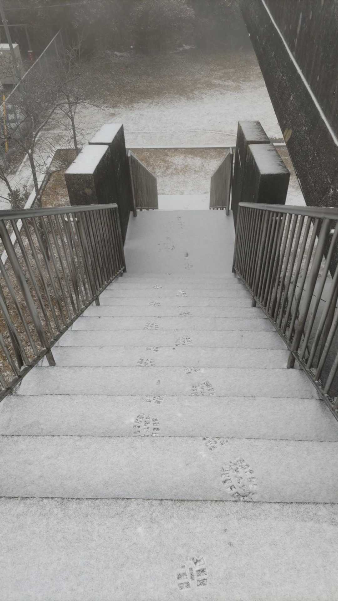 桑谷山 周回コースの写真